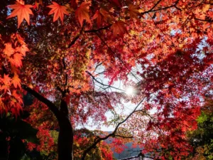 early autumn destinations September 2025