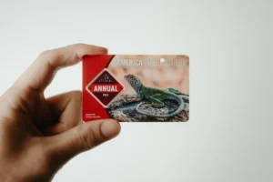 best travel credit cards 2025